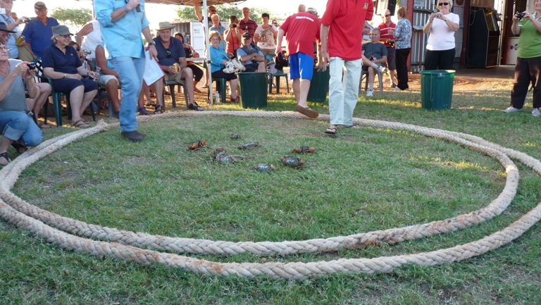 Mud Crab Race